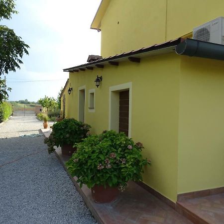 Appartamento Podere I Renai Santa Maria a Monte Екстер'єр фото